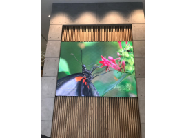 LED Installation
